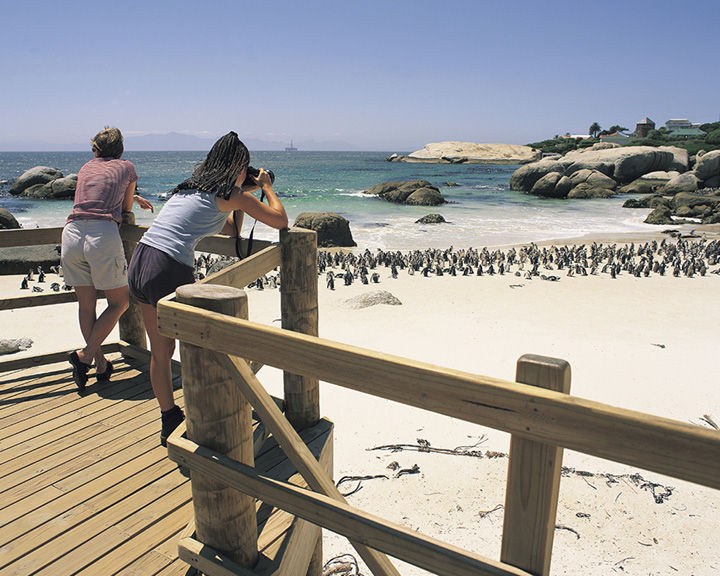 Seaside Sanctuaries