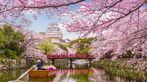 Here's How Japan Is Avoiding Waste With An Ancient Technique