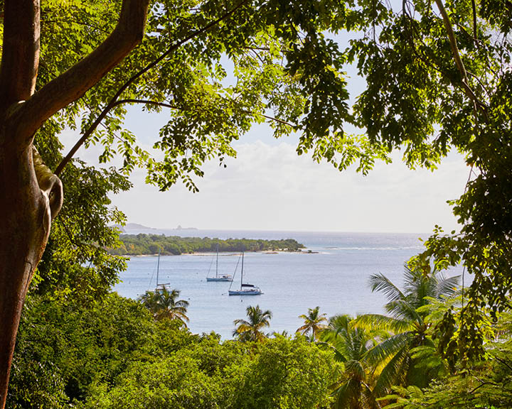 Sister Islands In Grenadines