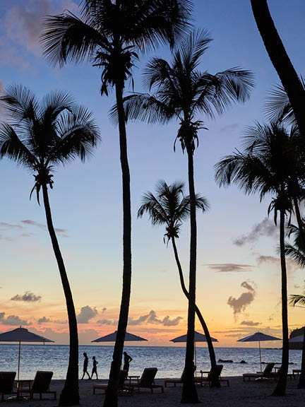 Sister Islands In Grenadines