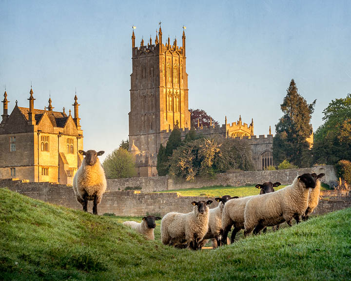 The United Kingdom Wellness