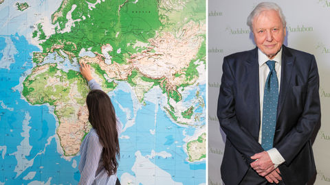 Sir David Attenborough Is Teaching Geography On Radio, Are You Game? 