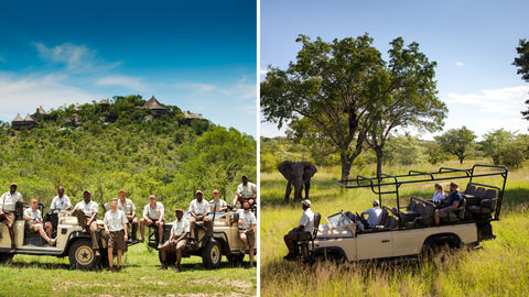 Witness The Best Safari Experiences From Your Home, Thanks To Virgin Limited Edition