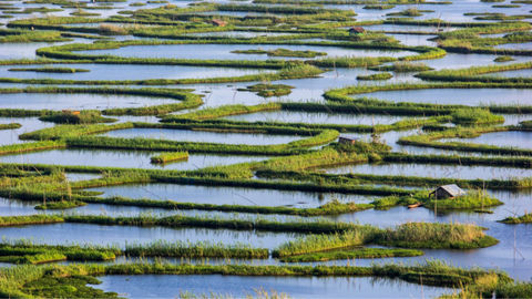 Did You Know That Manipur Is Home To The World's Only Floating Islands?