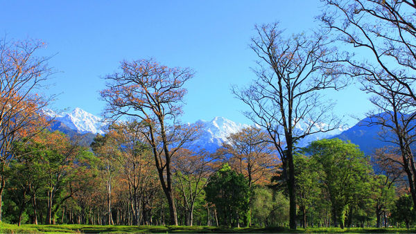 Thanks To The Lockdown, You Can Now See Himachal Pradesh’s Dhauladhar Range From Jalandhar