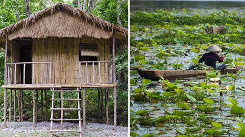 This Village In Manipur Has Set Up Bamboo Huts As Quarantine Centres
