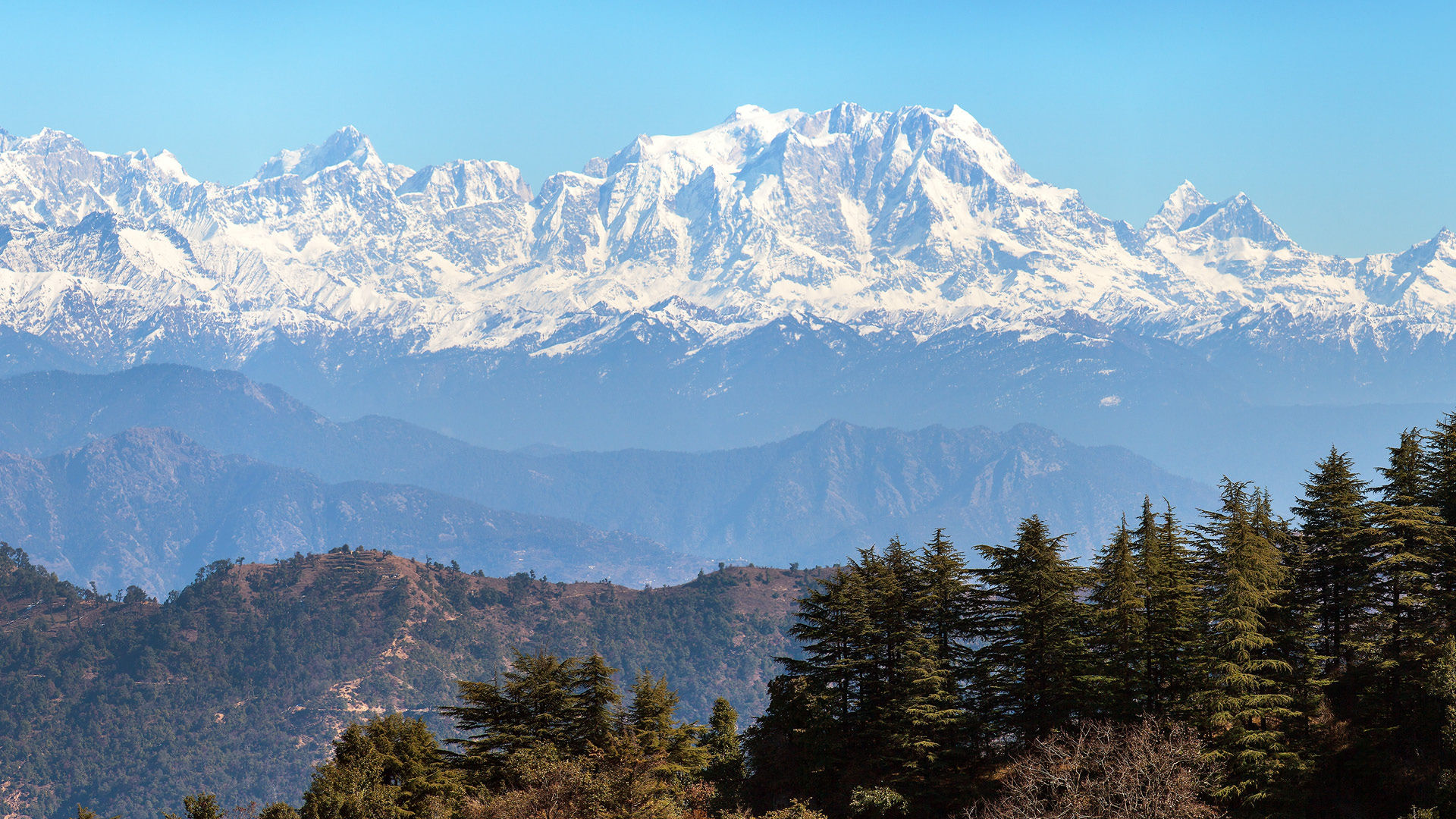 Trek in the Himalayas | Gangotri to Gaumukh | origin of river Ganga —  Steemit