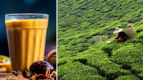 #TnlSupportsLocal: This International Tea Day, We Reveal Where To Get The Best Chai