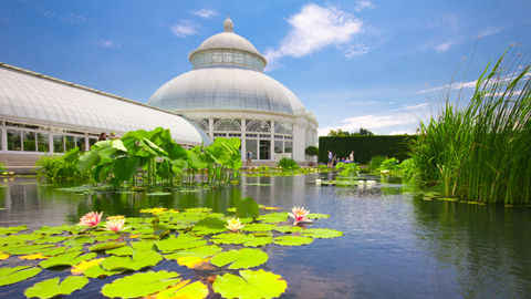 New York Botanical Garden Brings Home Fun Activities To Bond With Family During Quarantine