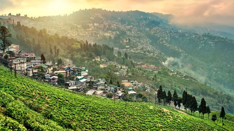 #StepAhead: Darjeeling Is All Set To Welcome Tourists From July 1