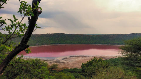This Lake In Maharashtra Turns Pink, And Social Media Can't Keep Calm!