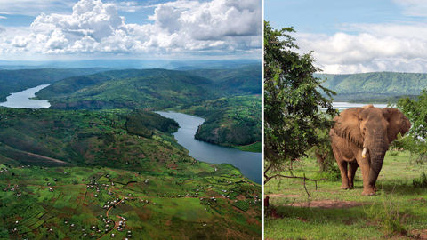 Rwanda Is Painted In Many Shades Of Wild. Here's Why You Must See Them All!