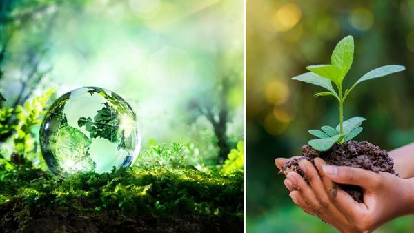 World Environment Day 2020: These Small Changes Will Go A Long Way In Reducing Your Carbon Footprint