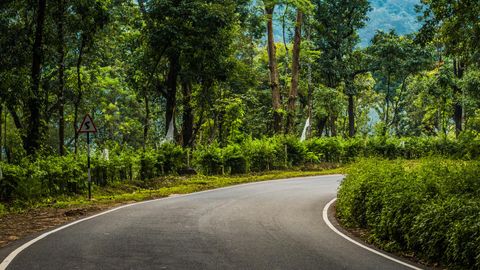 #SomeGoodNews: 200 Urban Forests Will Be Developed In India Under The Nagar Van Scheme