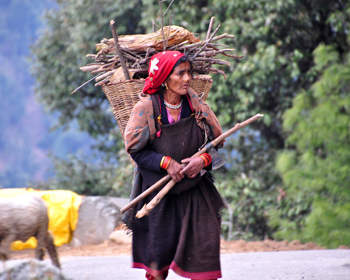 Himachal Pradesh’s Barot Offers An Experience Of A Lifetime