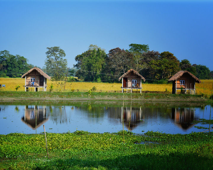 Majuli—the world's largest river island might just disappear in