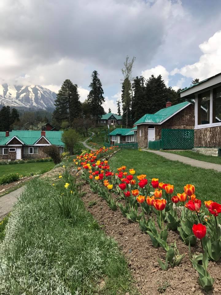 Boutique Hotels Jammu And Kashmir