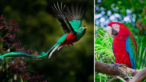 You Can Now Dream Escape To India’s First Interactive Bird Park In Mumbai From Your Couch!