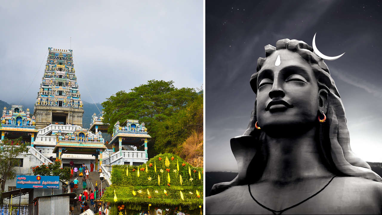 Anaimalai Wildlife Sanctuary, Topslip - The Pollachi Papyrus, Pollachi  Travel Guide, Pollachi Tourism, Valparai, Topslip