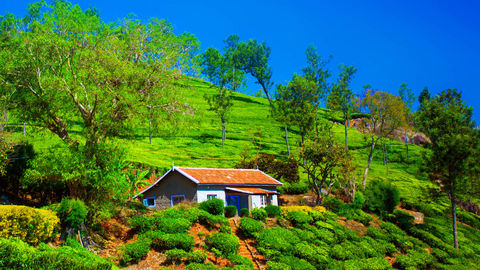 Add These 5 Unexplored Places In Coonoor To Your Travel Itinerary!