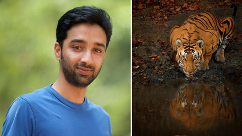 'Be a true gentleman in protecting the gentlemen of our jungles,' Says The Man Behind Kabini's Iconic Panther-Leopard Couple Photo, This International Tiger Day