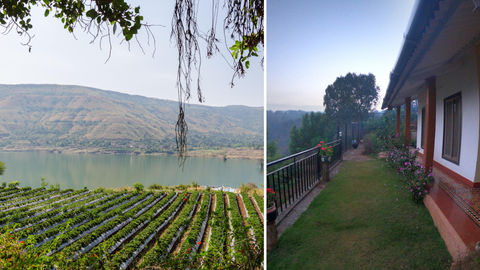 Here's Why A Trip To Panchgani Is The Perfect Way To Satiate Your Strawberry Cravings