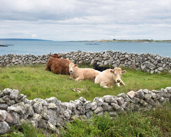 Connemara