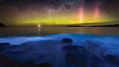 These Bioluminescent Beaches Around The World Will Give You New Travel Goals