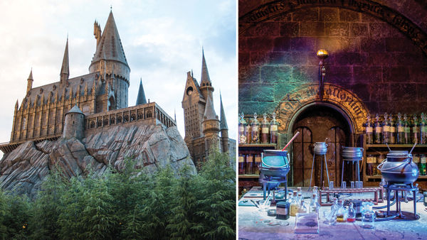 Harry Potter Fantasies: This Fan-Made Website Lets You Take Free Online Classes At Hogwarts