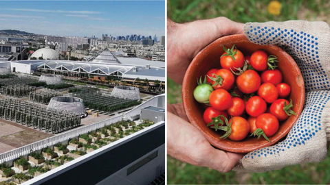 You Can Now Visit The Largest Urban Farm In Europe, Located Interestingly On A Rooftop In Paris