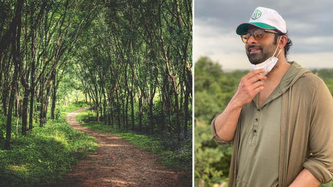 Actor Prabhas Adopts 1,650 Acres Of Forest Land Near Hyderabad