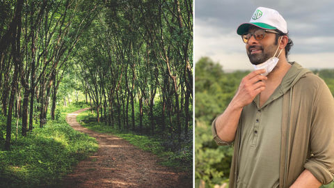 Actor Prabhas Adopts 1,650 Acres Of Forest Land Near Hyderabad