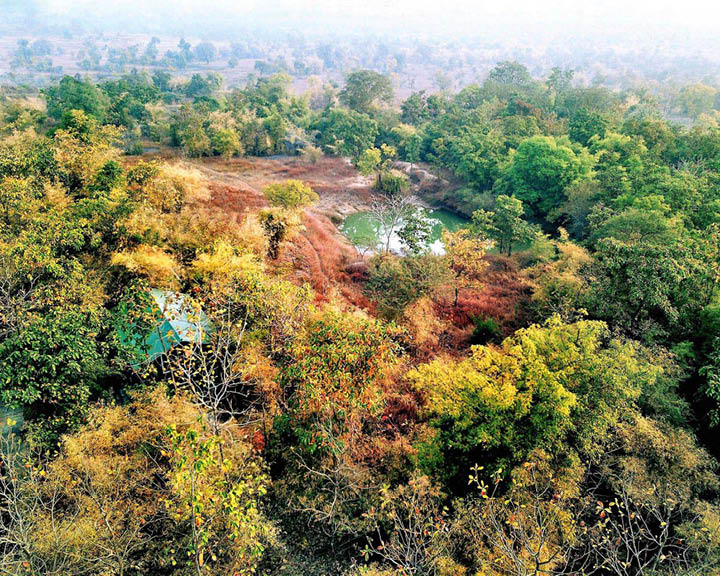 Tadoba-Andhari Tiger Reserve
