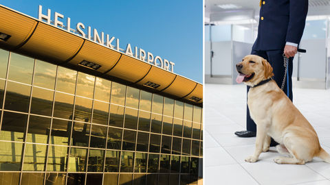 Finland’s Helsinki Airport Deploys Sniffer Dogs To Detect Coronavirus