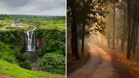 Madhya Pradesh's Workation Initiative Is Every Locked-down Traveller's Dream Come True