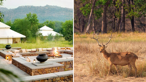 Here's How These Luxury Safari Properties Are Acing The Conservation Game In India