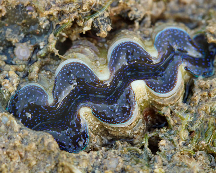tide pools