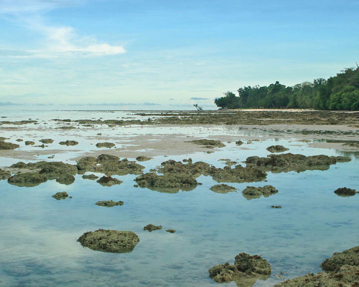 tide pools