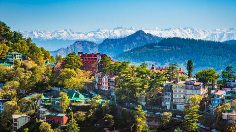 Discover The Secrets Of Chharabra -- A Quaint Little Village Near Shimla