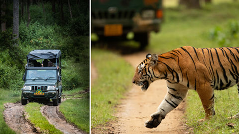 Your Ultimate Guide For A Road Trip From Bengaluru To Kabini