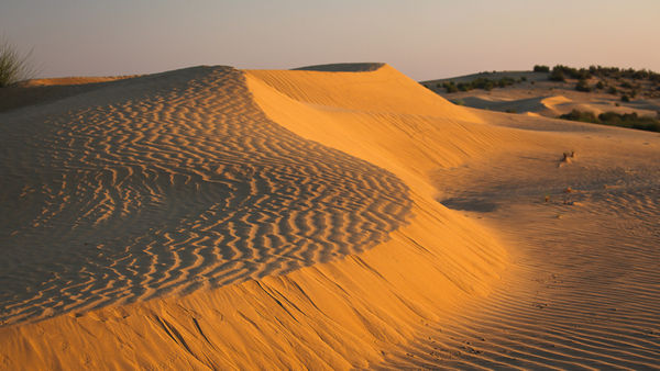 Researchers Have Discovered A River That Used To Run Through The Thar Desert 172K Years Ago