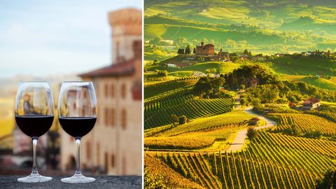 For The First Time Ever, Barolo In Italy Has Been Named As The City Of Wine For 2021