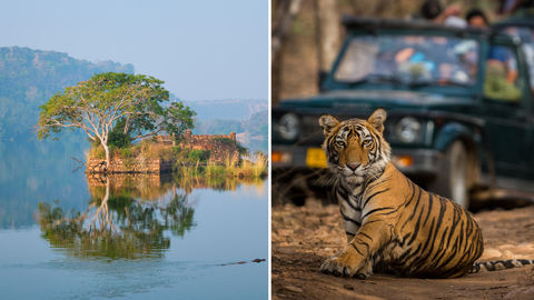 Plan Your Road Trip From Delhi To Ranthambore With This Handy Guide