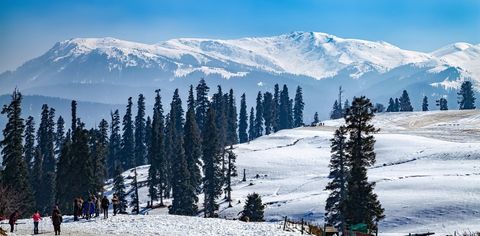 Gulmarg's New Igloo Cafe Is The Region's Latest Hotspot To Lure Tourists