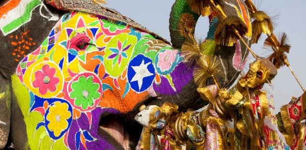 Why Is Jaipur’s Elephant Festival So Popular?