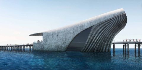 Australia's Whale-Shaped Marine Observatory Is Making Headlines!