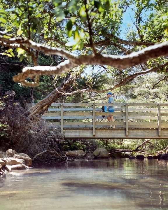 Great Barrier Island