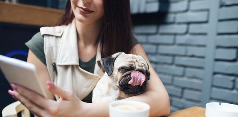 5 Pet-Friendly Cafes In Mumbai That Are Just Paw-fect!