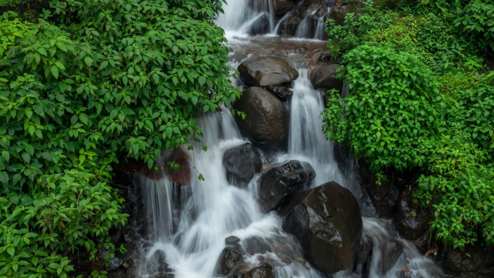 hill stations in Maharashtra