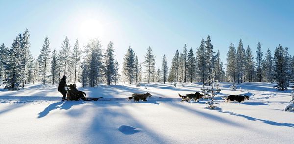 Find The Cues Of Winter At Every Turn In Finnish Lapland